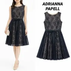 【即日発送】ADRIANNA PAPELL 総レースAラインドレス フレア 黒