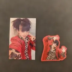 龍宮城 Ray あっかんべフォト 4種6枚セット - メルカリ