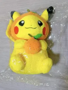 ポケモン big ピカチュウ ぬいぐるみ 韓国限定 チェジュ島 みかん ポケモン big ピカチュウ ぬいぐるみ 韓国済州限定 チェジュ島 お地蔵