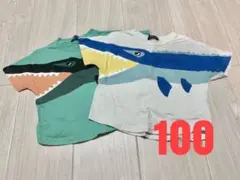 恐竜柄　Tシャツ　2枚セット 100のサムネイル