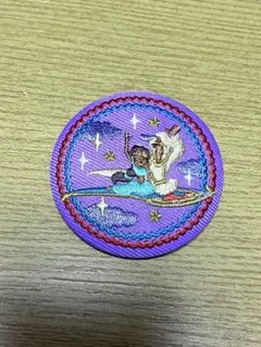 Disney Characters 刺繍缶バッジ【アラジンとラプンツェル】