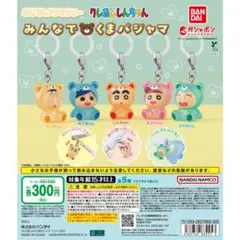 クレヨンしんちゃん めじるしアクセサリー コンプリート ガチャ