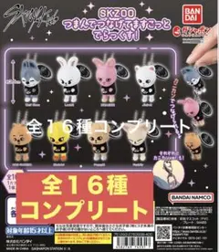 SKZOO つまんでつなげてますこっと でらっくす！ 全16種コンプリート