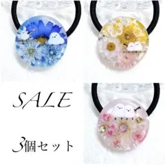 シマエナガ レジンヘアゴム 3個 - メルカリ