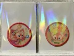 ディズニーシー　ダッフィー　カラフルハピネス　ワッペン　リーナベル　2種セット