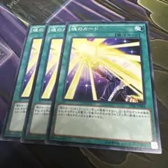 遊戯王　魂のカード　ノーマル3枚　ノーマルレア　ノーレア