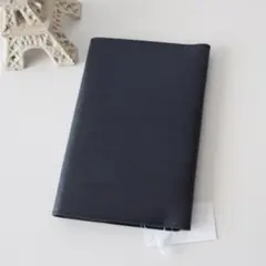 Item thumbnail for item 0af58afe-9186-470e-8ad1-1f4ea26044a6