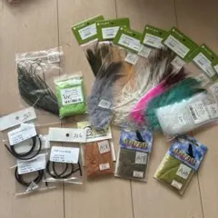 Item thumbnail for item 3f682042-bdda-42be-9bcf-566af616e63a