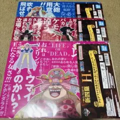 一番くじ　ワンピース　新四皇　H賞　クリアファイル&ステッカー&チケットケース