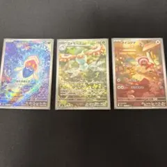 ポケモンカード AR 3枚セット マーイーカ アメモース ヌイコグマ