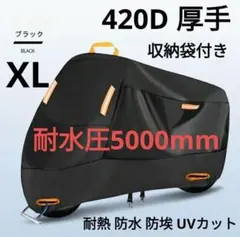 Item thumbnail for item e9b16889-20c0-454c-bb17-25ba945af3cf