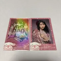 KON様 リクエスト 2点 まとめ商品