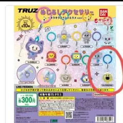 未使用☆TREASURE TRUZ トレジャー めじるしチャームPODONG☆