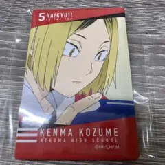 ハイキュー 孤爪研磨 名場面缶バッジ