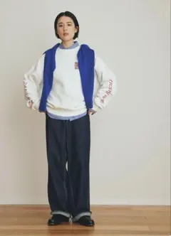 【THE SHINZONE】TOOL DENIM PANTS