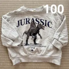 マイリトルワンダー　100 恐竜トレーナー