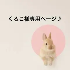 くろこ様専用ページ♪