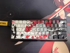 Wooting 60he+ 雪Aimキーキャップ - メルカリ