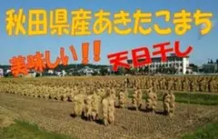 農家直送☆令和７年産☆自然乾燥米 秋田県産あきたこまち白米５kgのサムネイル