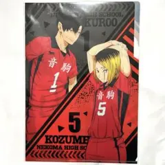 ハイキュー ゴミ捨て場の決戦 クリアファイル 音駒 青葉城西