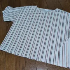 Item thumbnail for item bb058076-1ccf-46f0-be99-c9ea0b3290ee