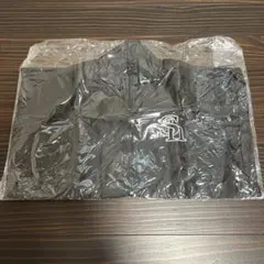 Item thumbnail for item 51755cff-cc24-4e0d-acd7-e3073698d71f