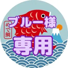 ブルー様専用　おまとめ　ガチャ