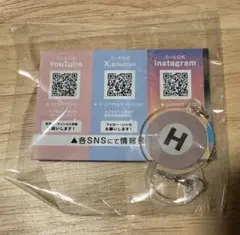 東京メトロ つながるチャーム 日比谷線