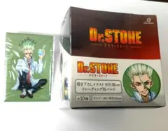 Dr.STONE ポラショットコレクション とレーティング描き下ろし缶バッチ