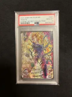 2025年最新】H4-sec ベジータ psa10の人気アイテム - メルカリ