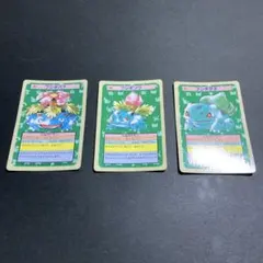トップサン ポケモンカード フシギダネ フシギソウ フシギバナ 青裏