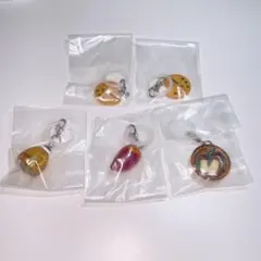 穣を感じるめじるしアクセサリー　5セット