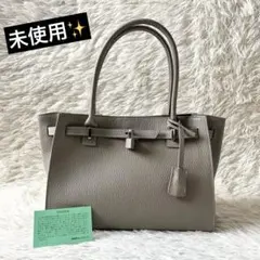 新品・箱付_箱に傷や破れ有】傳濱野ミーティアラウンド本革バッグ皇室
