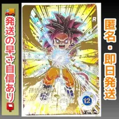 sdv4-060 パラレル　孫悟空:DA