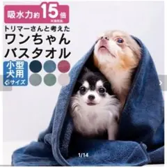 Item thumbnail for item b4139a60-5e86-472d-9c9a-d4836b3f1c67