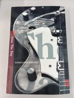 山口洋 Seize The Day 今を生きるための音楽 HEATWAVE