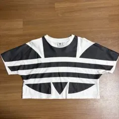 adidas Originals クロップド丈 Tシャツ Sのサムネイル