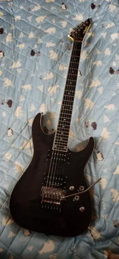Edwards e-hr145qm 美品 期間限定セールのサムネイル
