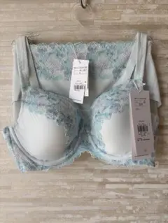 D75&L」トリンプ 恋するブラ613 ブラ&ショーツ ブルー