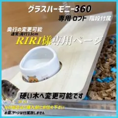 RIRI様専用オーダーページ グラスハーモニー360専用ロフト 階段付属