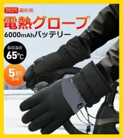 【Mサイズ】電熱グローブ 6000mAh ブラック