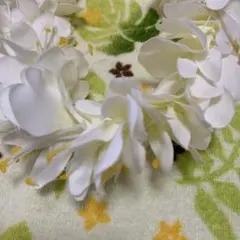 Item thumbnail for item b94ee848-131a-41f7-b6ac-2d0776184951