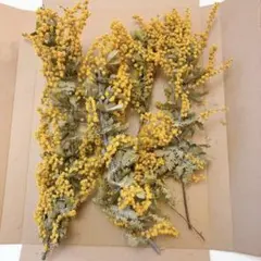 Item thumbnail for item 798ea629-73ce-4d3f-86c9-9c8266f26a95