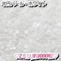 ラインストーン・半円パール(ホワイト)2ミリ