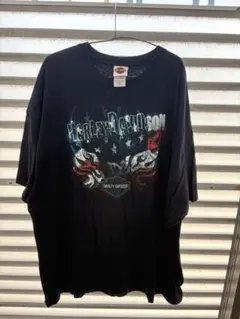 Harley-Davidson Tシャツ 2009年製のサムネイル