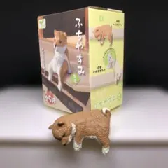 ふちやすみ柴犬 赤柴　うつぶせのサムネイル