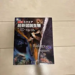 Item thumbnail for item 71e86d2a-71df-41b6-a686-8352ece5f035