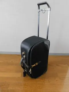visee キャリーケース ゴールド金具 高さ約50㎝ 横幅約27㎝