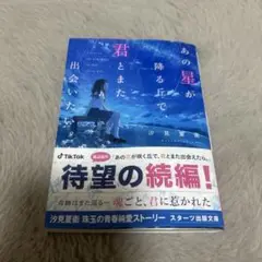 あの星が降る丘で、君とまた出会いたい。