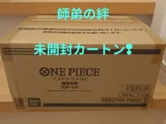 カートン ワンピース カードゲーム